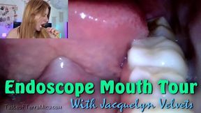 Endoscope Mouth Tour - Jacquelyn Velvets - HD 720 MP4