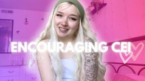 Encouraging CEI