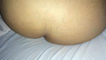 IMG 0513