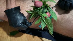 Cum with Nettles Inside Dick