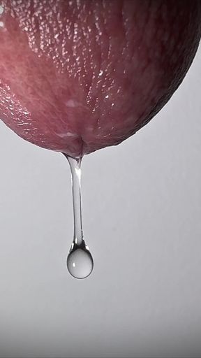 Penis Tropft