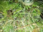 After fuck outdoor twink found broken condom and his ass wet - He cum again on broken condom