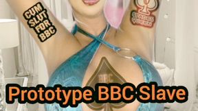 prototype BBC Slave Redux