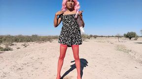 Cute ladyboy in mini dress and hot anal plug likes to get naked to be seen enjoy her