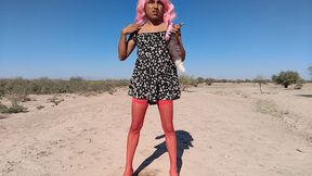 Cute ladyboy in mini dress and hot anal plug likes to get naked to be seen enjoy her
