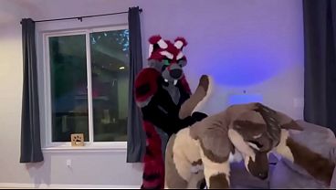 Mejores amigos furry ela cama sex
