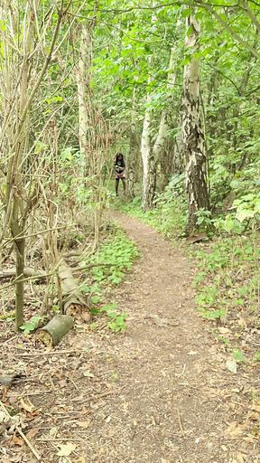A short walk in the woods and a part strip