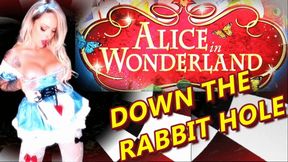 ALICE IN WONDERLAND DOWN THE RABBIT HOLE
