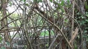 Milf bourgeoise reveals us around her house and her ass at the same time