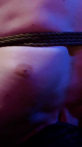 Ball Busting CBT Part Ii by Bearded Master