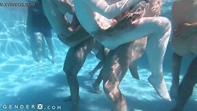 Trans orgy takes over pool party in genderx video