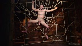 Ripped Stud Caught In Sebastian's Web And Edged Relentlessly