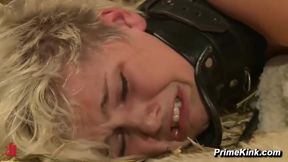 Book Signing and Orgy BDSM Party with Chloe Camilla and Kait Snow