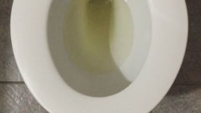 GOLD PEE MONEY DRAIN