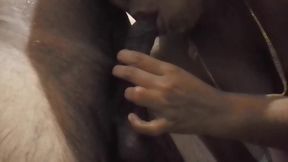 Village girl sucks her husband's penis in the bathroom