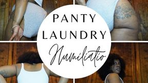 Panty Laundry Humiliation