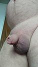 My little friends the penis