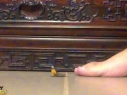 THESE TOES WERE MADE FOR LICKING - NOURISH YOUR TINY BODY ON MY FOOT SWEAT & TOE JAM! - MANLYFOOT