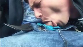 Outdoor Blowjob and Swallow with a Handsome Stranger