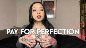 Pay For Perfection - Findom