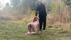 Pet-play - walking naked outdoor as a dog, humiliation, bdsm