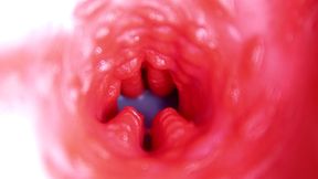extreme close up of a big cock in a sloppy wet sweet hole!