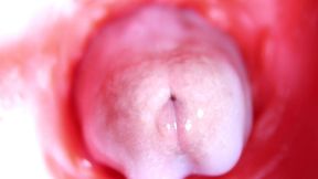 extreme close up of a big cock in a sloppy wet sweet hole!