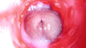 extreme close up of a big cock in a sloppy wet sweet hole!