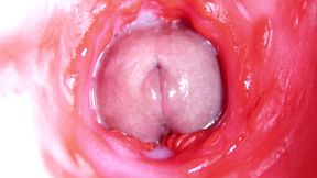 extreme close up of a big cock in a sloppy wet sweet hole!