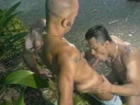 Latin Attraction