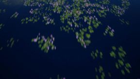 Ember Snow- Winter is Cumming with Musa Phoenix