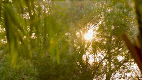 ”Rich Couple Seduces Ms. Willis & BESTFRIEND”