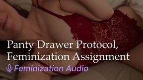 Panty Drawer Protocol Feminization Assignment