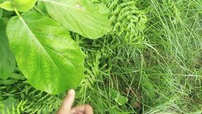 Big Cock Cumshot in Natural Garden, Outdoor Cumshot