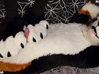 pawslut puppy gets back to back pawjobs with biggest 2nd jizz flow at the end