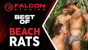 FalconStudios - Best Of Beach Rats - Uber-Fantastic Grizzlies Fuckin' Stiff Outdoors