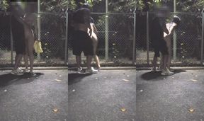 夜の道端で・・・