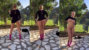 elisadreams - update #70 - jan 12, 2022