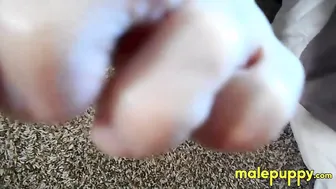 Suited daddy Richard Lennox gets his feet worshipped before giving a foot job