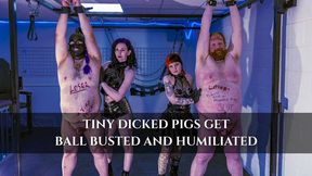 Double CBT for Tiny Dick Losers