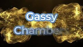 Gassy Chambers *480*