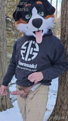 Furry @AngryBarks jerking off in the woods. Leaks cum then shoots hard 💦