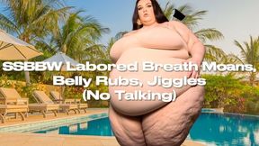 SSBBW Labored Breath Moans, Belly Rubs, Jiggles (No Talking)