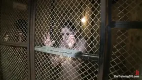 Day 2 Final Two Slaves