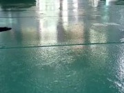 Painting my skoolie floor nude