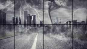 LP-276 You Got My Money Mofo-4K