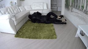 Leather catball rolling L (St)