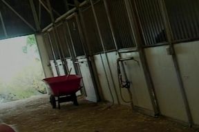 Hot blonde slut rides dick outdoors before a cumshot