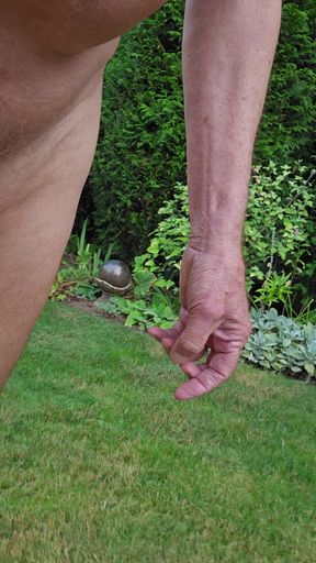 Chilly Morning in the Backyard