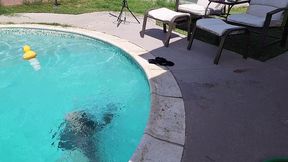 stunning asian bbw jasmine rose gets pussy eaten at pool